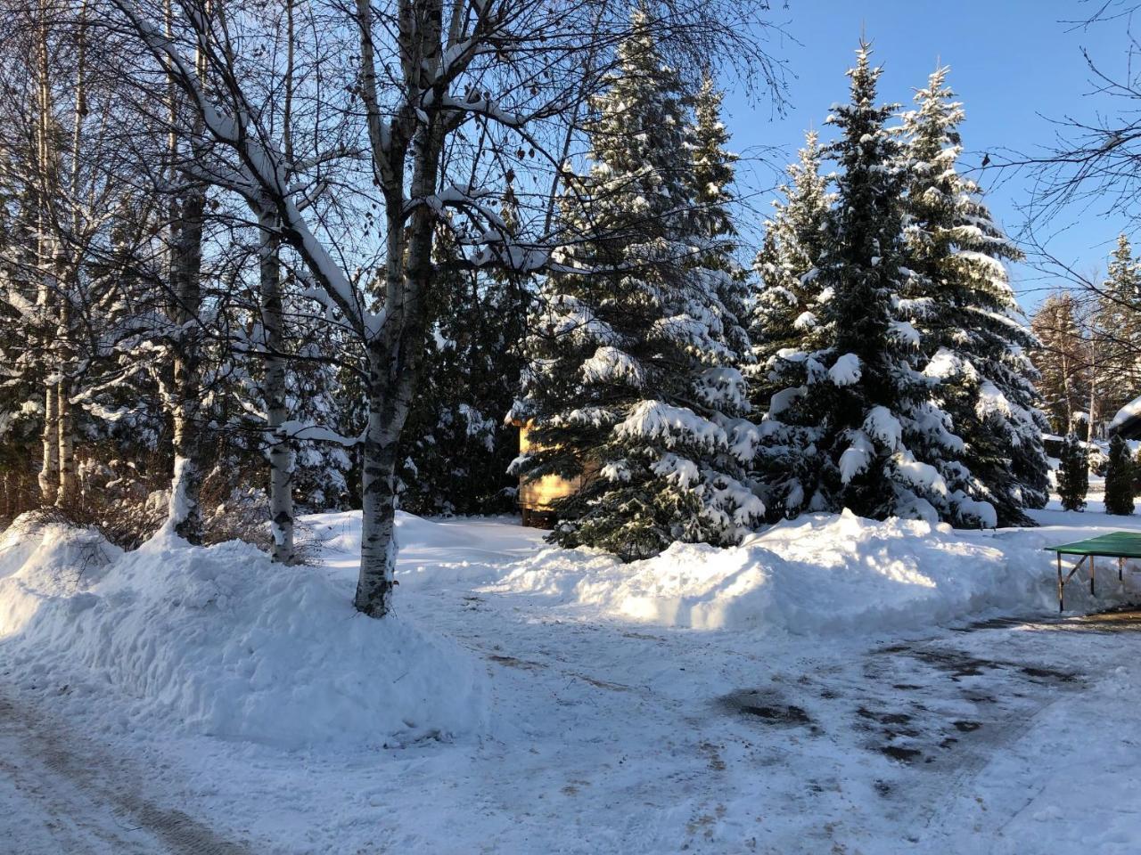 Holiday Home Vila Tejic Zlatibor Exterior foto
